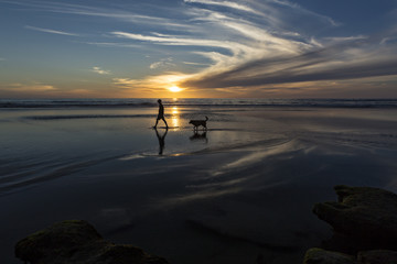 People walking with dogs at Dog Beach in Del Mar, California