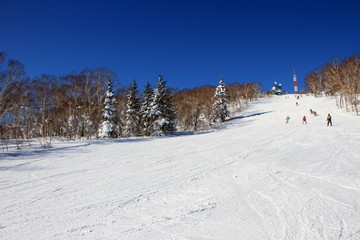 Fototapeta na wymiar Hokkaido ski resort