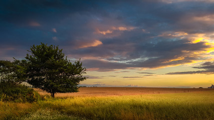 Am Feld 