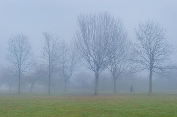 Obraz premium Walking in Fog