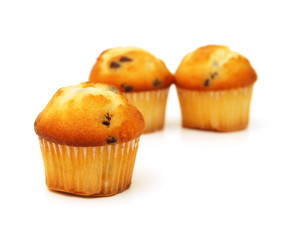 Fresh chocolate chip muffin close up.