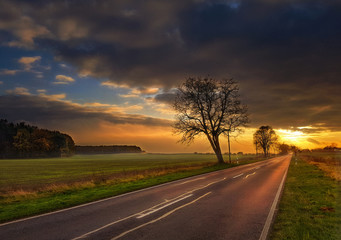 Straße nach Süden 