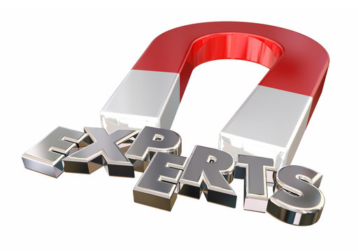 Experts Magnet Attracting Best Experienced Professionals 3d Illustration