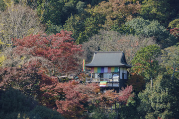 Fototapeta na wymiar Aerial view of beautiful fall color at Arashiyama