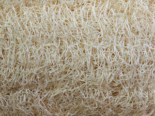 Loofah Body Scrub , for scrub skin and spa.