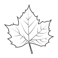 Fototapeta premium thanksgiving outline object