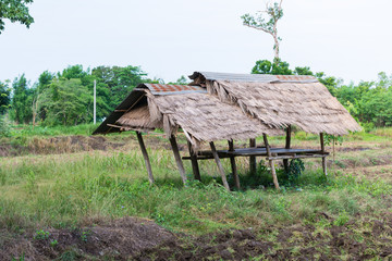 Thai farmer hut