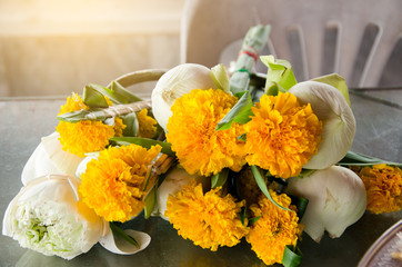 Marigold and Lotus Flower for praying in the temple, Thailand, Marigold, lotus