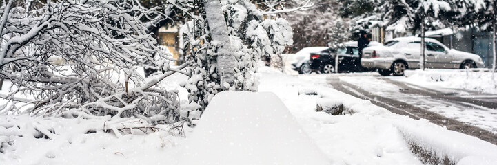 Snowfall in the city, trees under snow