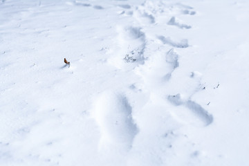 Footprints in deep snow, winter background