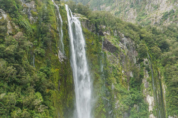 high large green waterfall in Milford Sound New Zealand