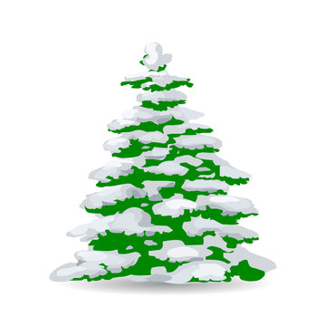 Green Christmas tree covered with snow, cartoon on white background,