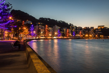 Oriental Bay, Wellington New Zealand Christmas Lights On Ocean 