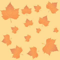 Happy thanksgiving day