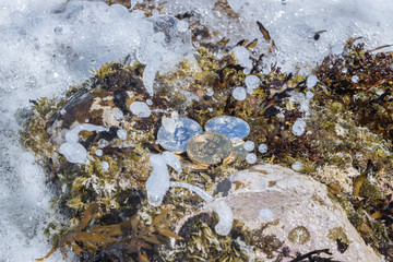 Rough Waves Splash On Bitcoins Finance Concept 