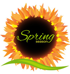 Sunflower spring season icon decoration vector design