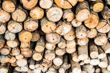background concept Wood firewood