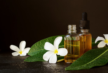 small glass jars with oil and Frangipani Plumeria patchouli flowers for spa treatments black background, selective focus