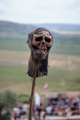 Human Skull with Worn Fabric Hat Outdoor on Thin Log