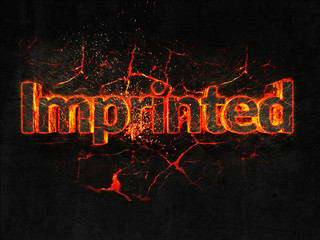 Imprinted Fire text flame burning hot lava explosion background.