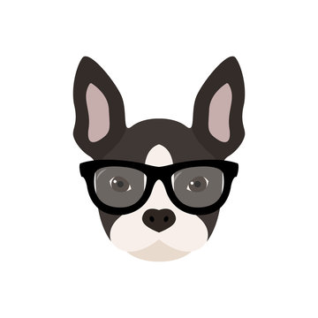 French bulldog with glasses. Cute vector illustration.