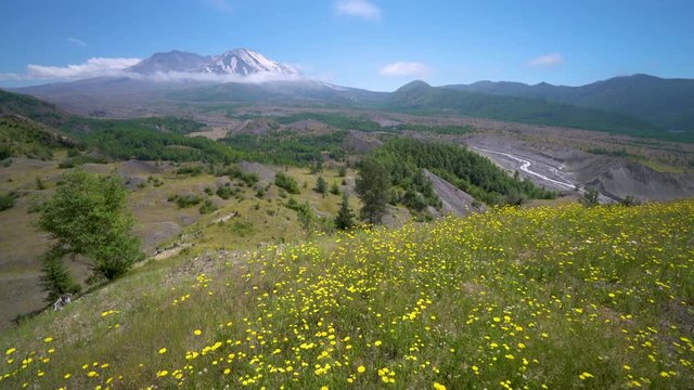 The breathtaking views of the volcano and amazing valley of flowers. White clouds are hovering over the large crater. Mount St Helens National Park, Washington State, USA. 4K, 3840*2160, high bit rate