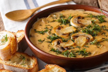 Hot mushroom soup with fresh dill and toast close-up. horizontal