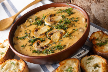 Delicious mushroom soup with dill and toast close-up. horizontal