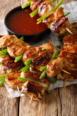 Korean chicken kebab with green onions and chilli sauce close-up. vertical