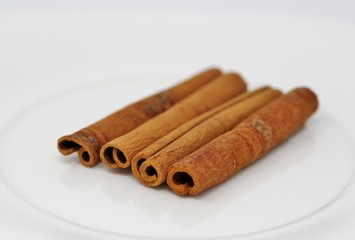 シナモンの原料の樹皮