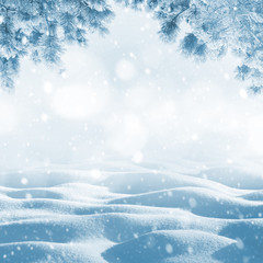 Winter bright background. Christmas landscape with snowdrifts and pine branches in the frost.