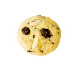 Chocolate chip cookie isolated on white background