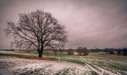 Bei Heidekrug 