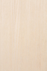 Texture of light wood background close up