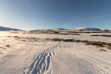 Ski tracks in mountain landscape Norway national park Dovre