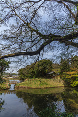 Fototapeta na wymiar 春の佐倉城跡の出丸跡の風景