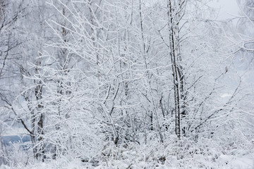 Winter landscape with hoarfrost on the trees