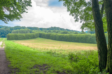 Landscape.