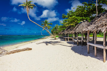 Tropical natural beach on Samoa Island with palm trees and wooden fales