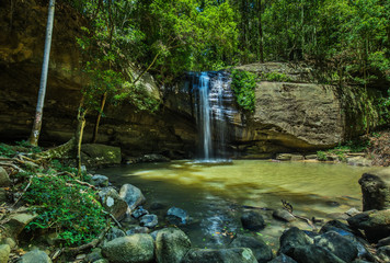 Serenity Falls and swimming hole in Buderim Forest Park, Sunshine Coast, Queensland, Australia