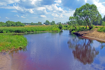 Fototapeta na wymiar Russia. Summer landscape on the river