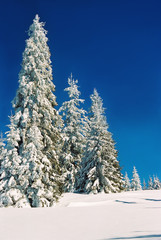 Winter landscape in the mountains