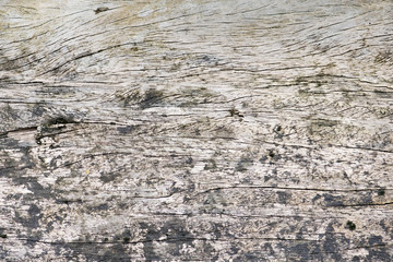 dirty wood texture, Old wood background.