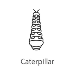 Caterpillar linear icon