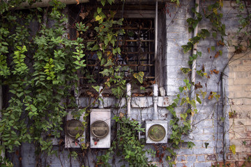 Old Abandoned window