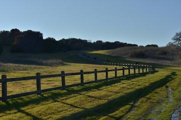 Fototapeta na wymiar Green rural field. Landscape and countryside.