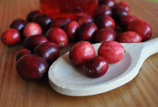 Canneberges
