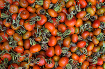 rose hips