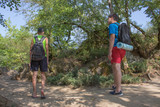 Group of friends walking with backpacks in forest. backpack hiking in the woods. Adventure, travel, tourism, active rest, hike and people friendship concept
