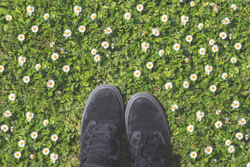 buty na trawie wiosna lato z kwiaty - obrazy, fototapety, plakaty